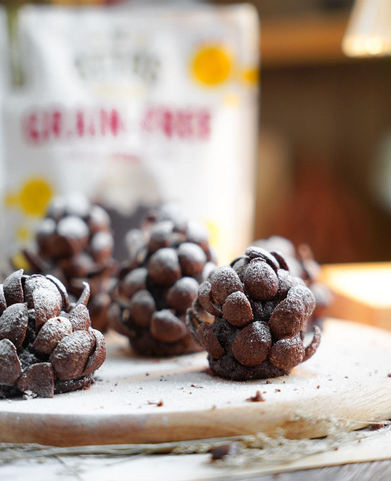 Gluten-Free brownie pine cone truffle made with Otto's Naturals Grain-Free Classic Brownie Mix. Dusted in powdered sugar to look like snow.